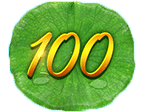 สัญลักษณ์ใบบัว 100 ของเกม Lotus